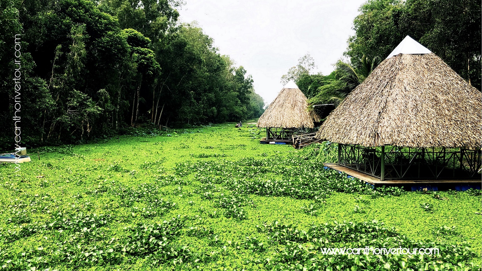 Lung Ngoc Hoang Forest Nature Reserve Tour Can Tho - Photo 1