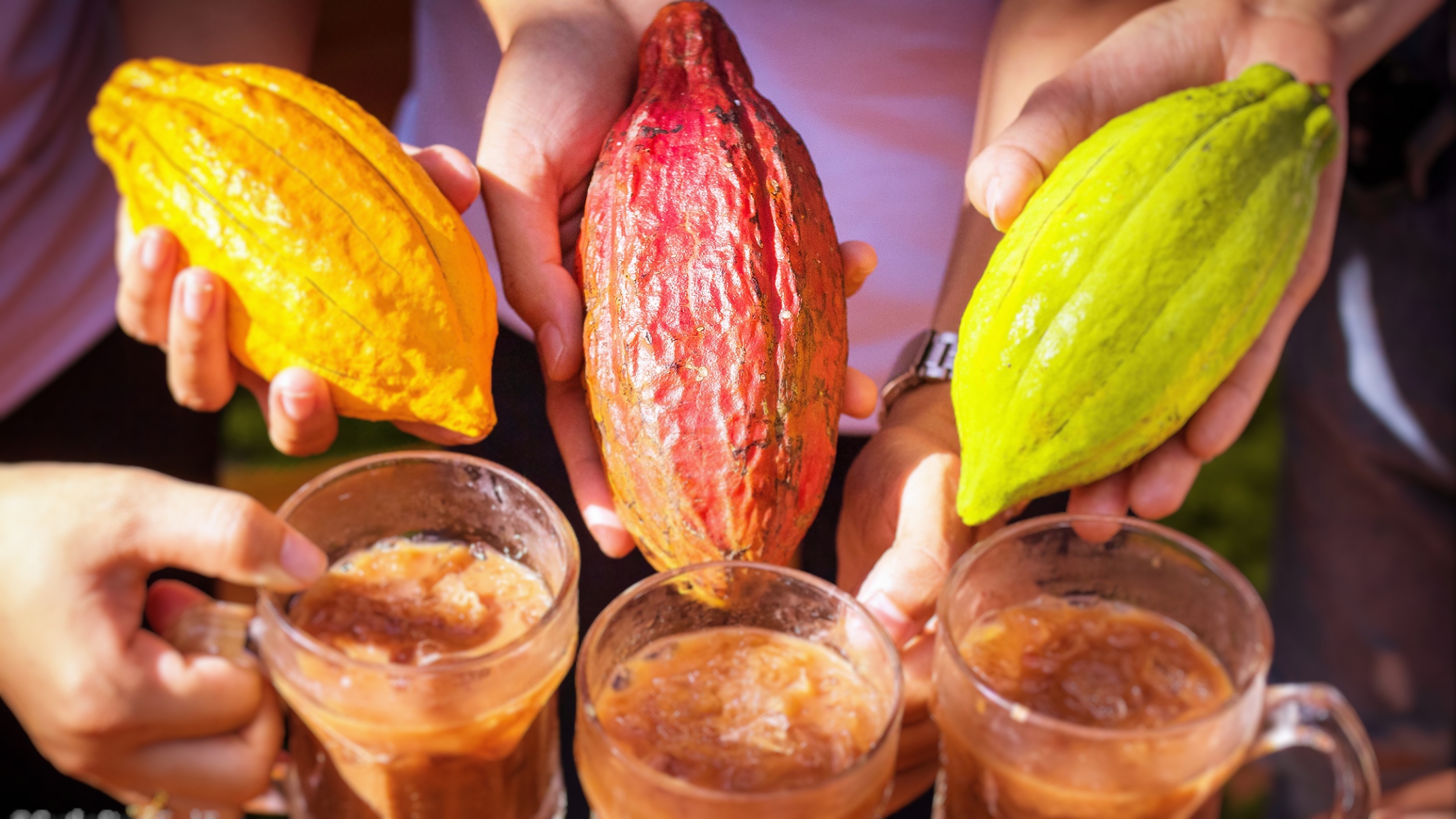 Can Tho: Mekong Delta, Floating Market, Hidden Canal & Cacao Farm - Photo 6