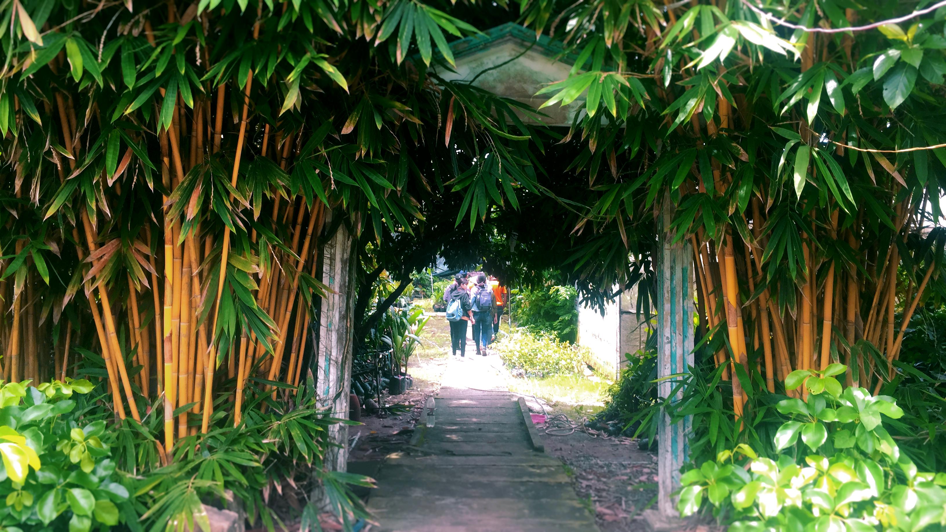 Vinh Long & Cai Be Tour From Can Tho 1 Day - Photo 1