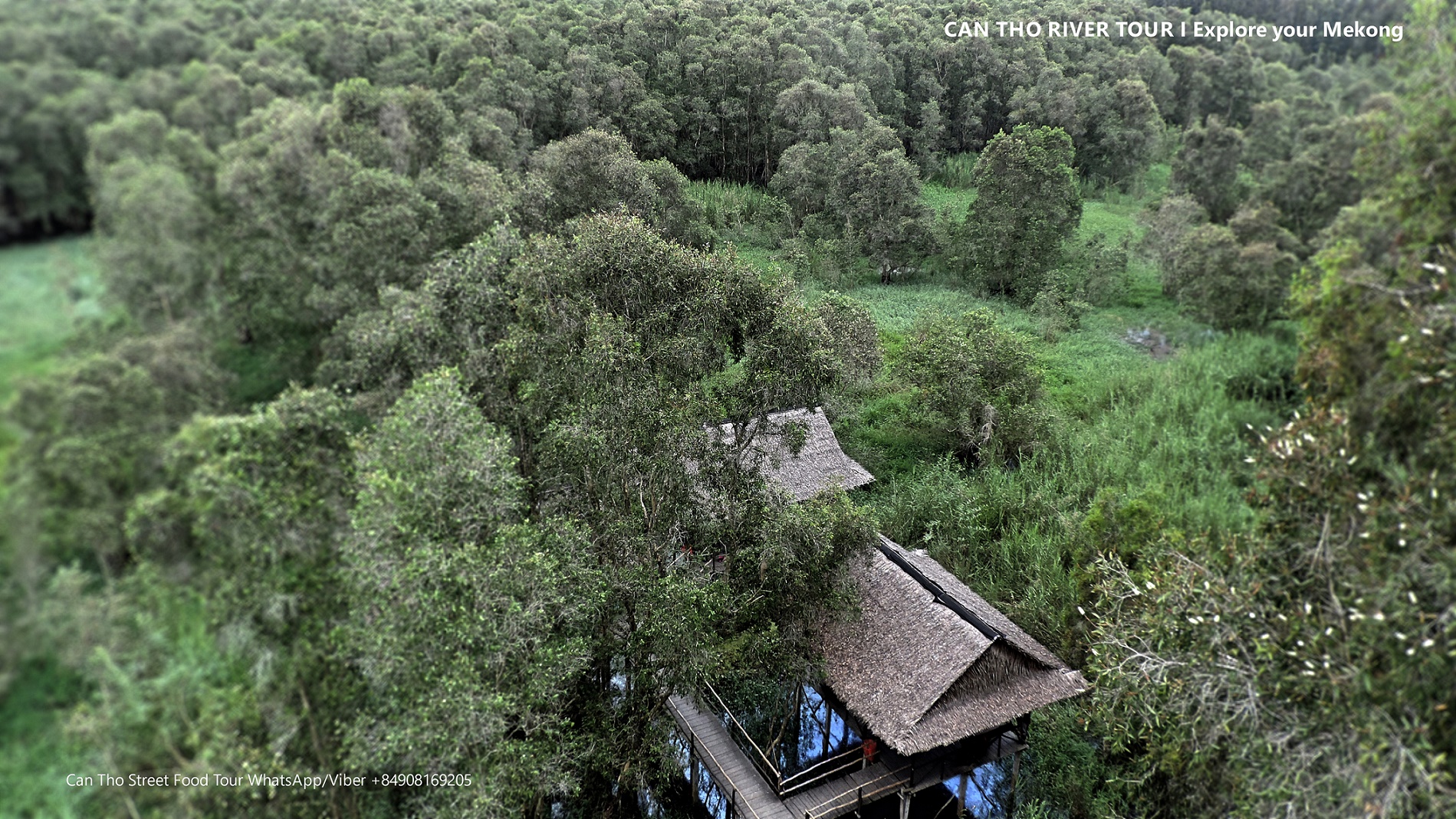 Can Tho Floating Market & Tra Su Forest 1 Day - Photo 6