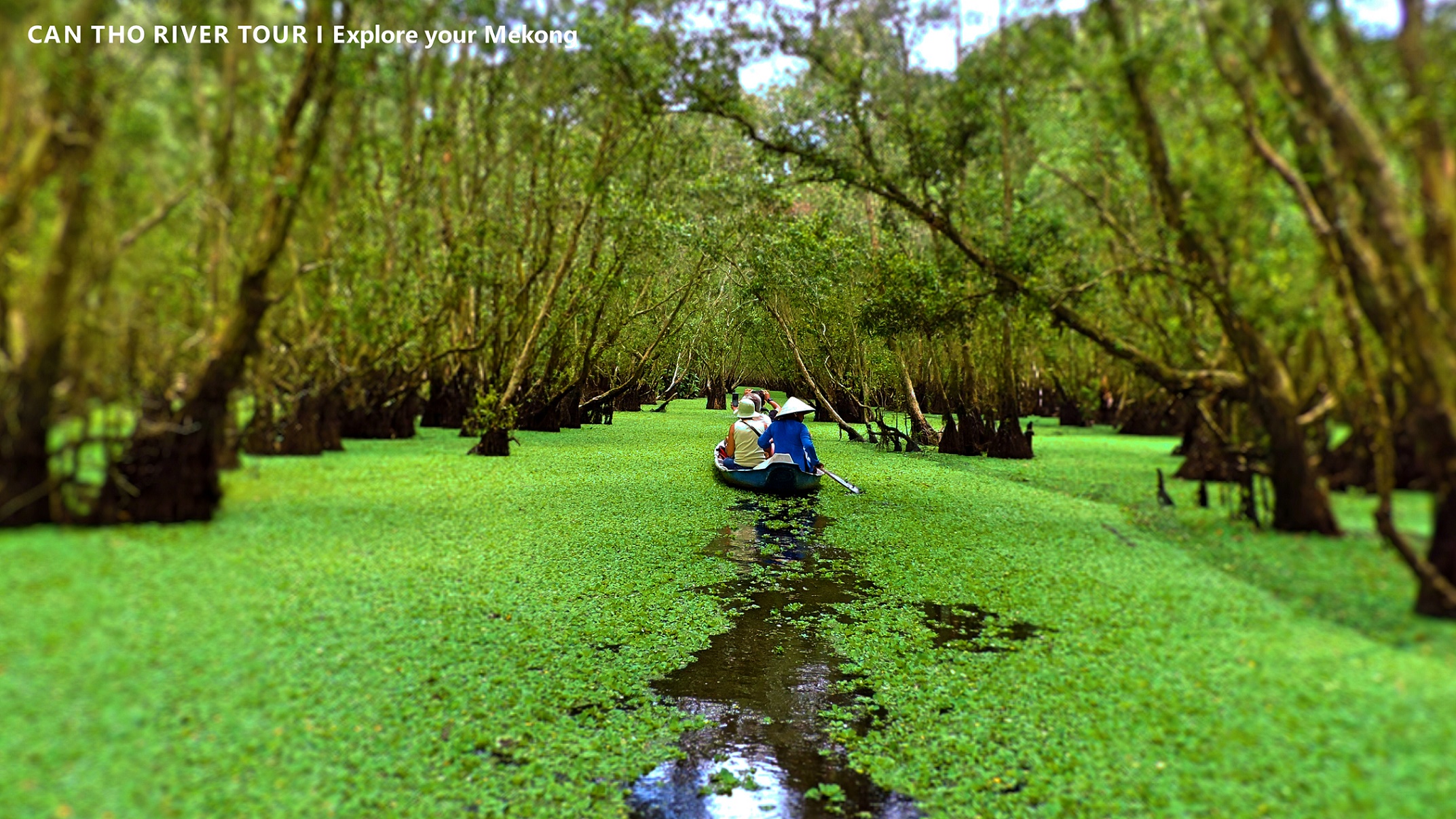 Can Tho Floating Market & Tra Su Forest 1 Day - Photo 5