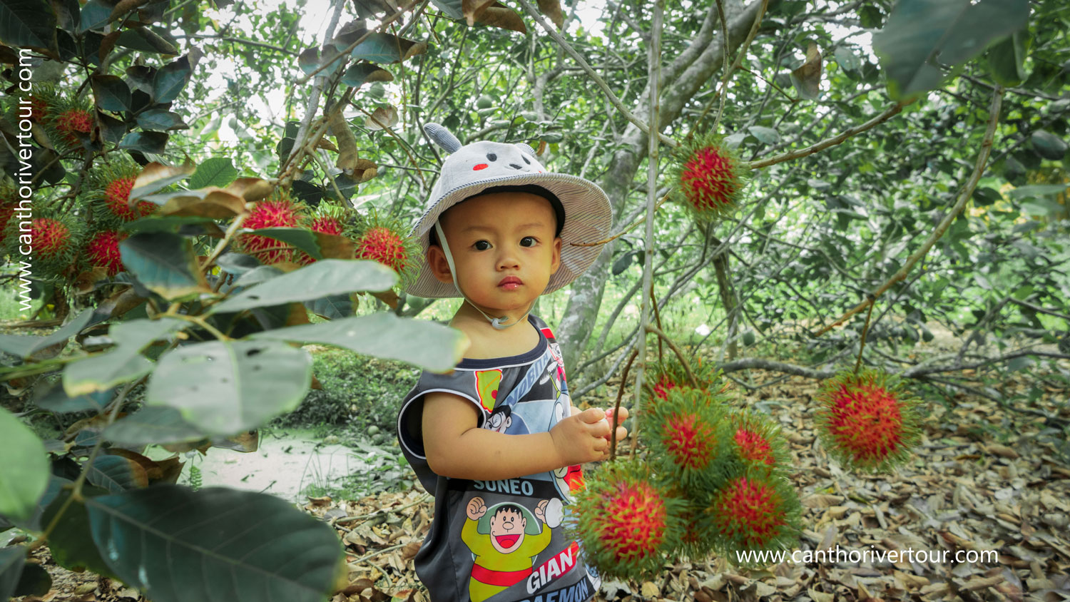Son Islet, Can Tho: Tropical Fruit Garden & Tasting, Duck Massage & Flying Fish - Photo 5