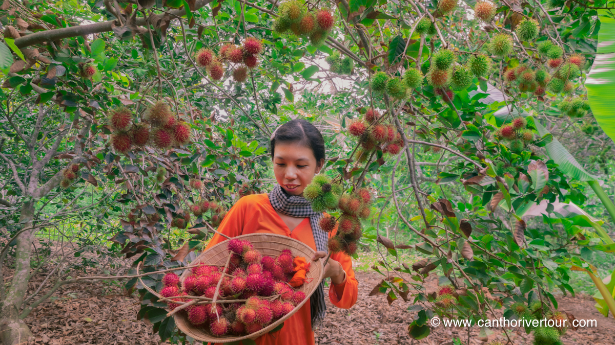 Son Islet, Can Tho: Tropical Fruit Garden & Tasting, Duck Massage & Flying Fish - Photo 7