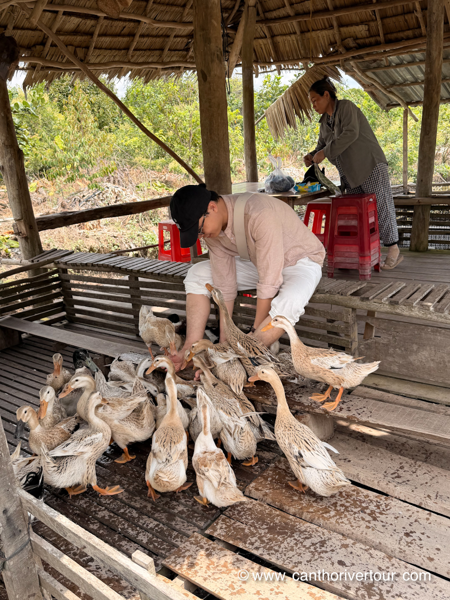 Son Islet, Can Tho: Tropical Fruit Garden & Tasting, Duck Massage & Flying Fish - Photo 8