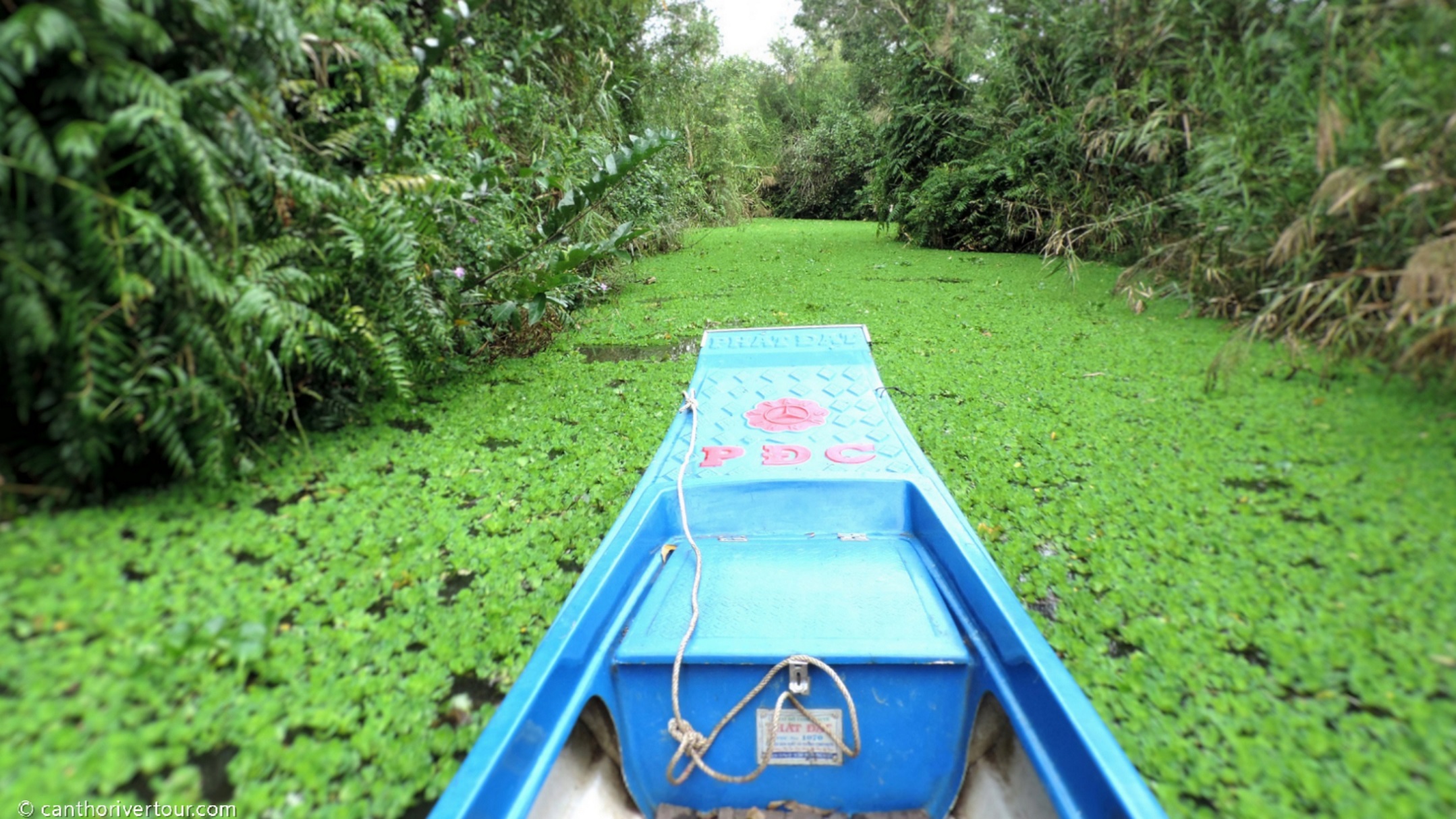 Can Tho Floating Market & Lung Ngoc Hoang Forest Tour from HCMC 1 Day - Photo 2