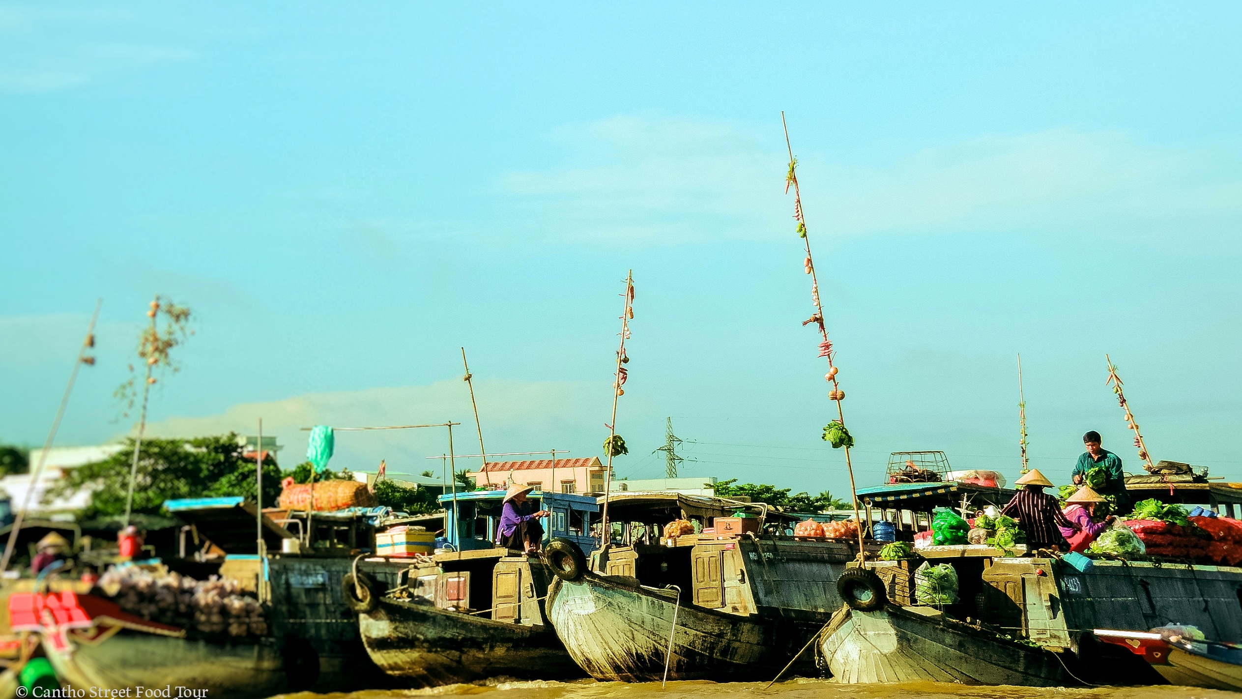 CAN THO TOURS FROM HO CHI MINH - Can Tho River Tour I Floating market ...